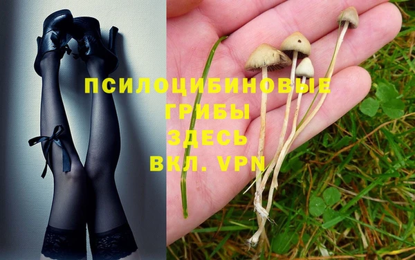 мдма Кодинск