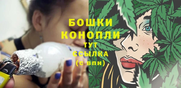 молекула духа Костерёво