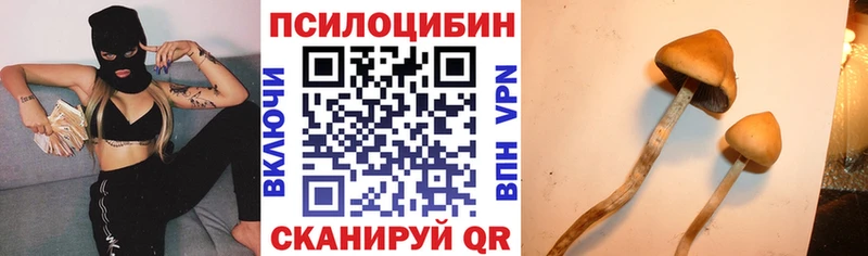 Купить закладки  Волжский  Галлюциногенные грибы прущие грибы 